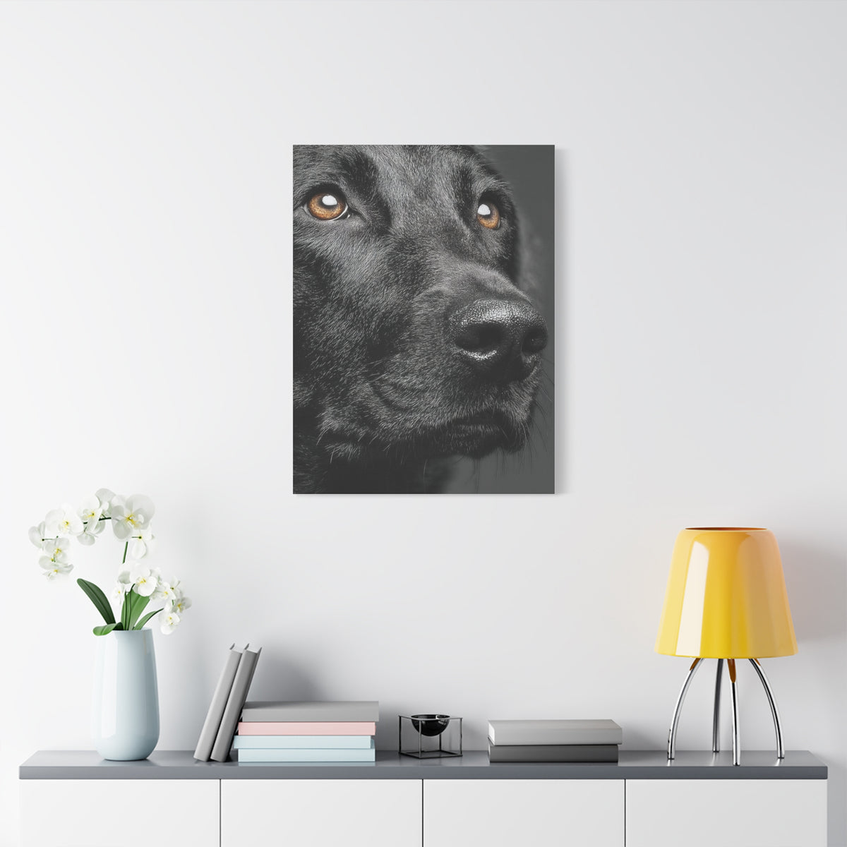 Black Labrador Fine Art Close-Up Wall Art & Canvas Print