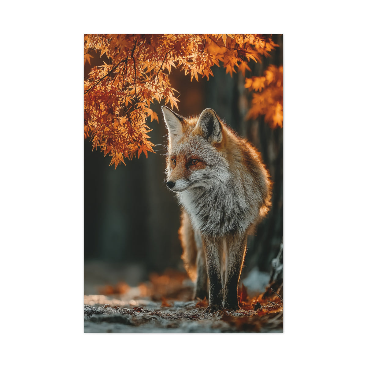Autumn Forest Path Fox Wall Art & Canvas Print