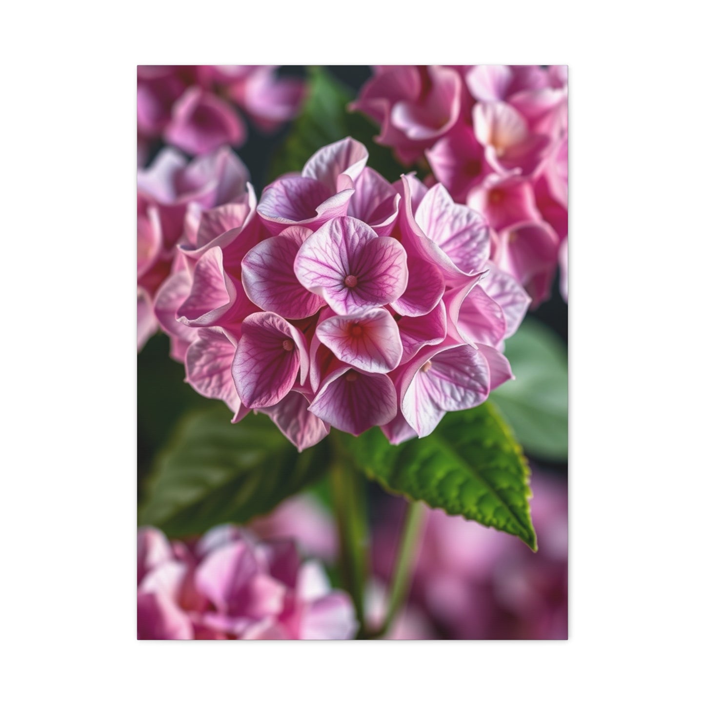 Supreme Hydrangea Flower Art Wall Art & Canvas Print