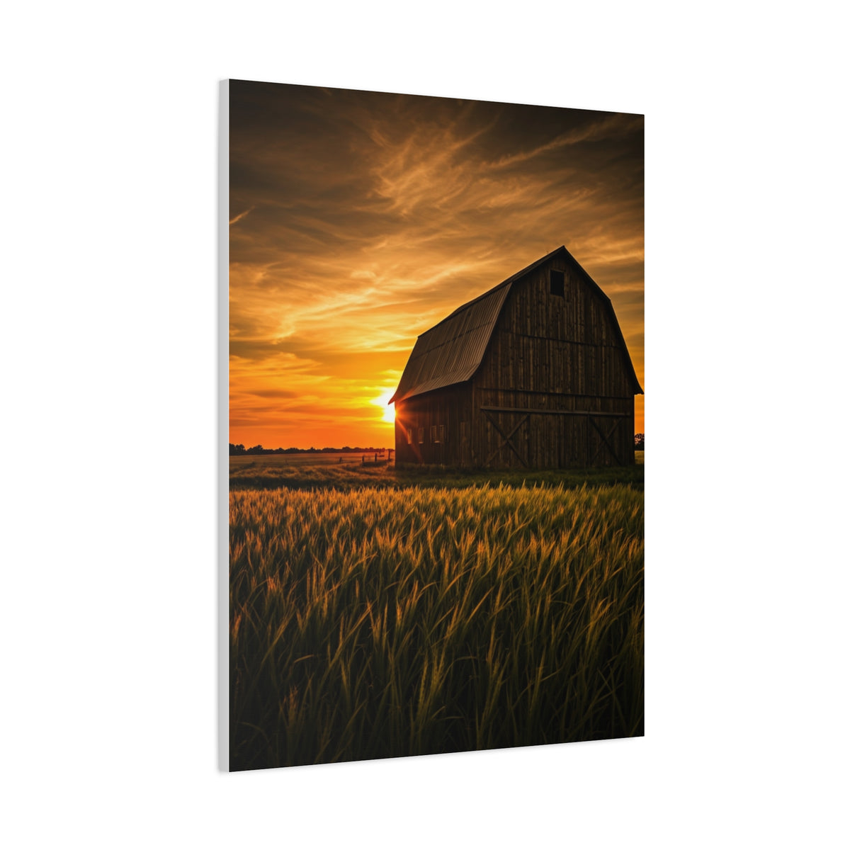 Sunset Barn in Tall Wheat Fields Wall Art & Canvas Prints