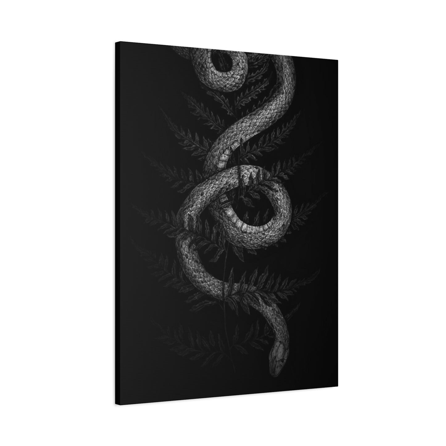 White Cobra Wall Art & Canvas Prints