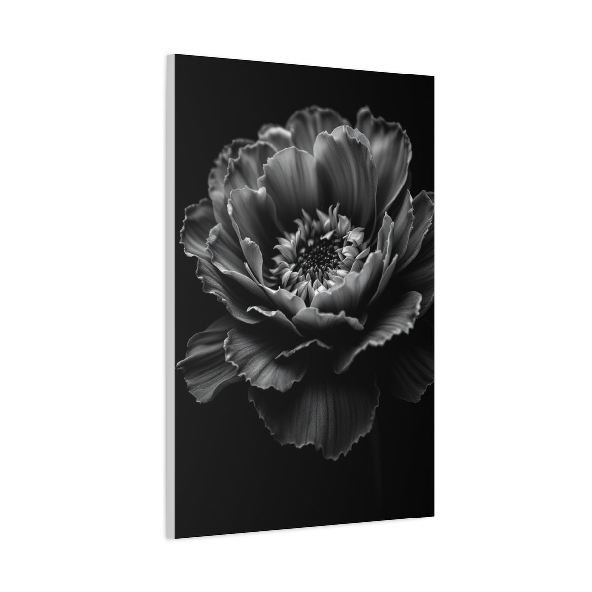 Layered Peony in Soft Shadow Wall Art & Canvas Prints