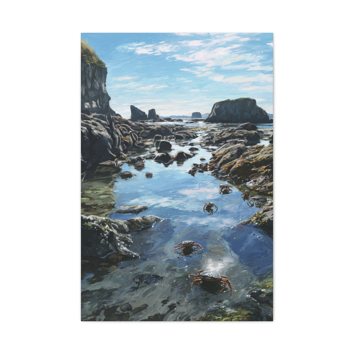 Tide Pools Along Rocky Coastal Shore Wall Art & Canvas Print