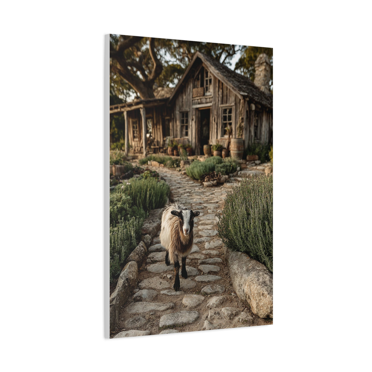 Farmhouse Garden Path with Goat Wall Art & Canvas Print