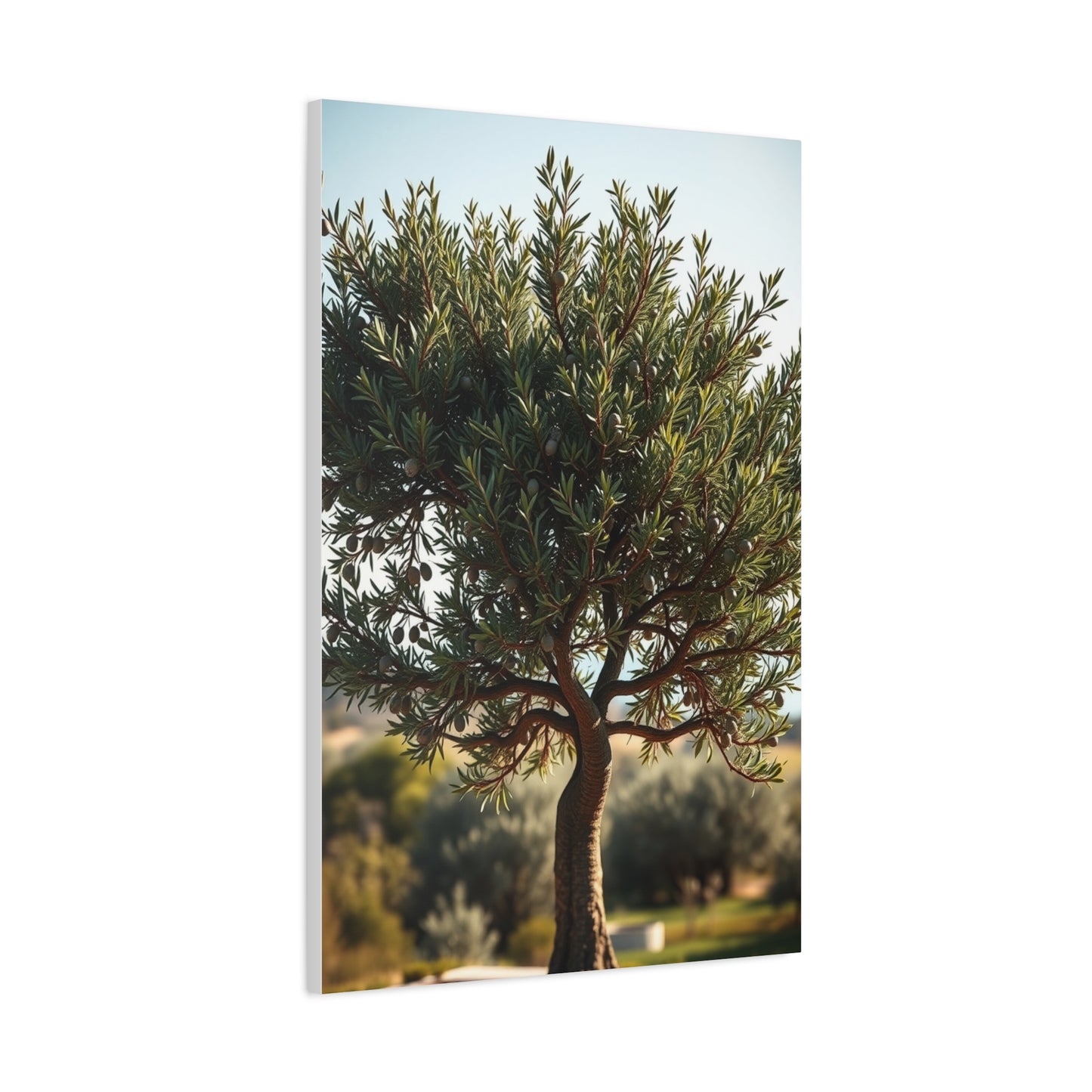Supreme Olive Tree Art Wall Art & Canvas Print