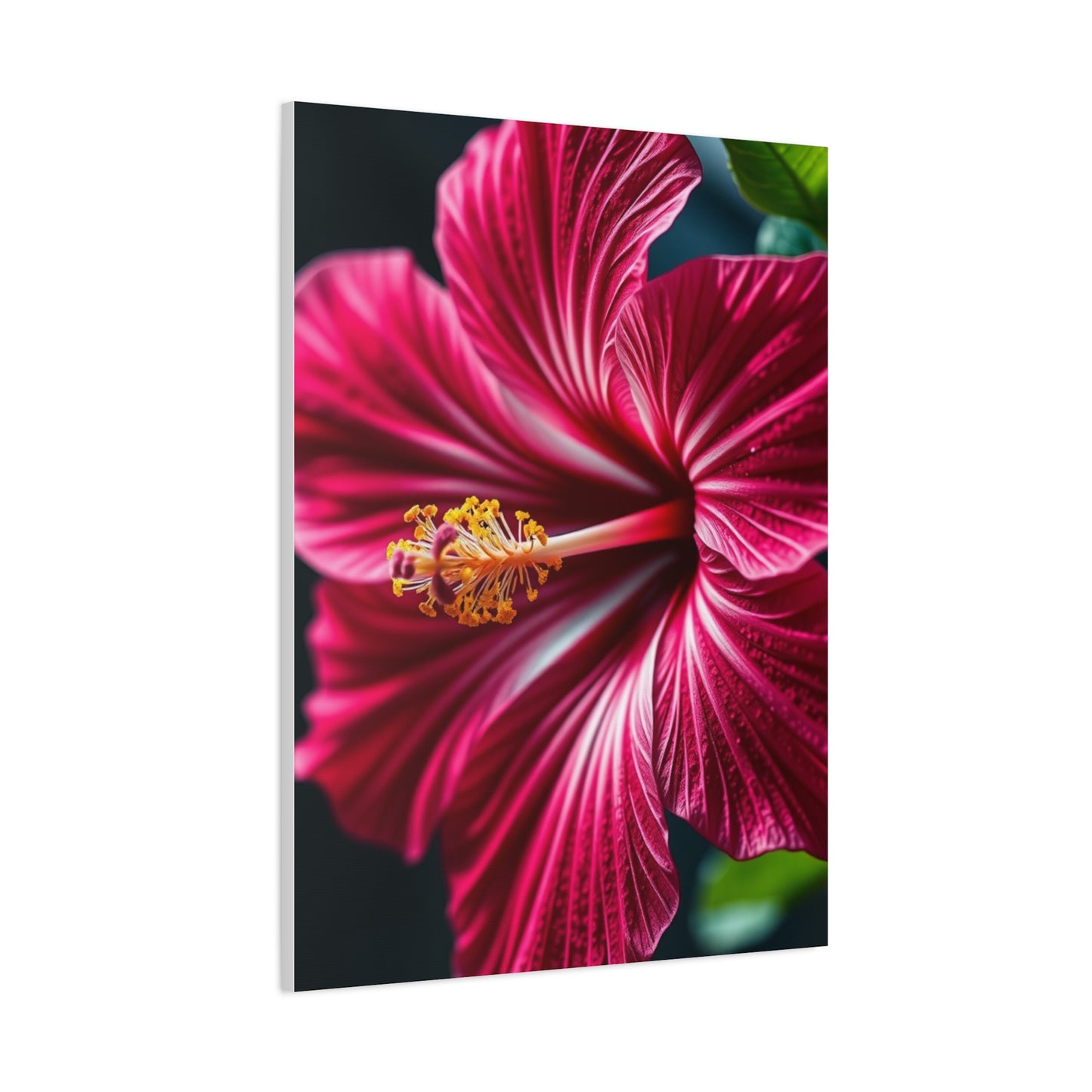 Collection Hibiscus Flower Art Wall Art & Canvas Print