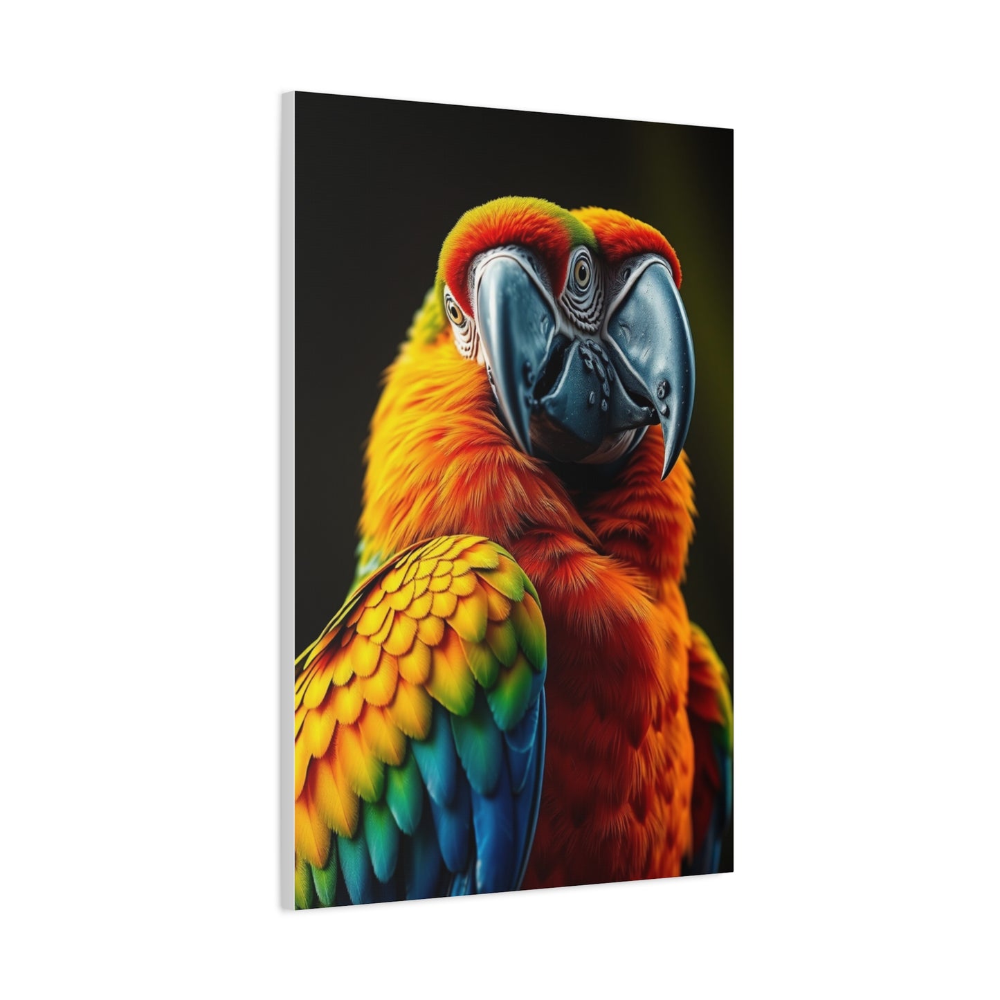 Supreme Parrot Art Wall Art & Canvas Print