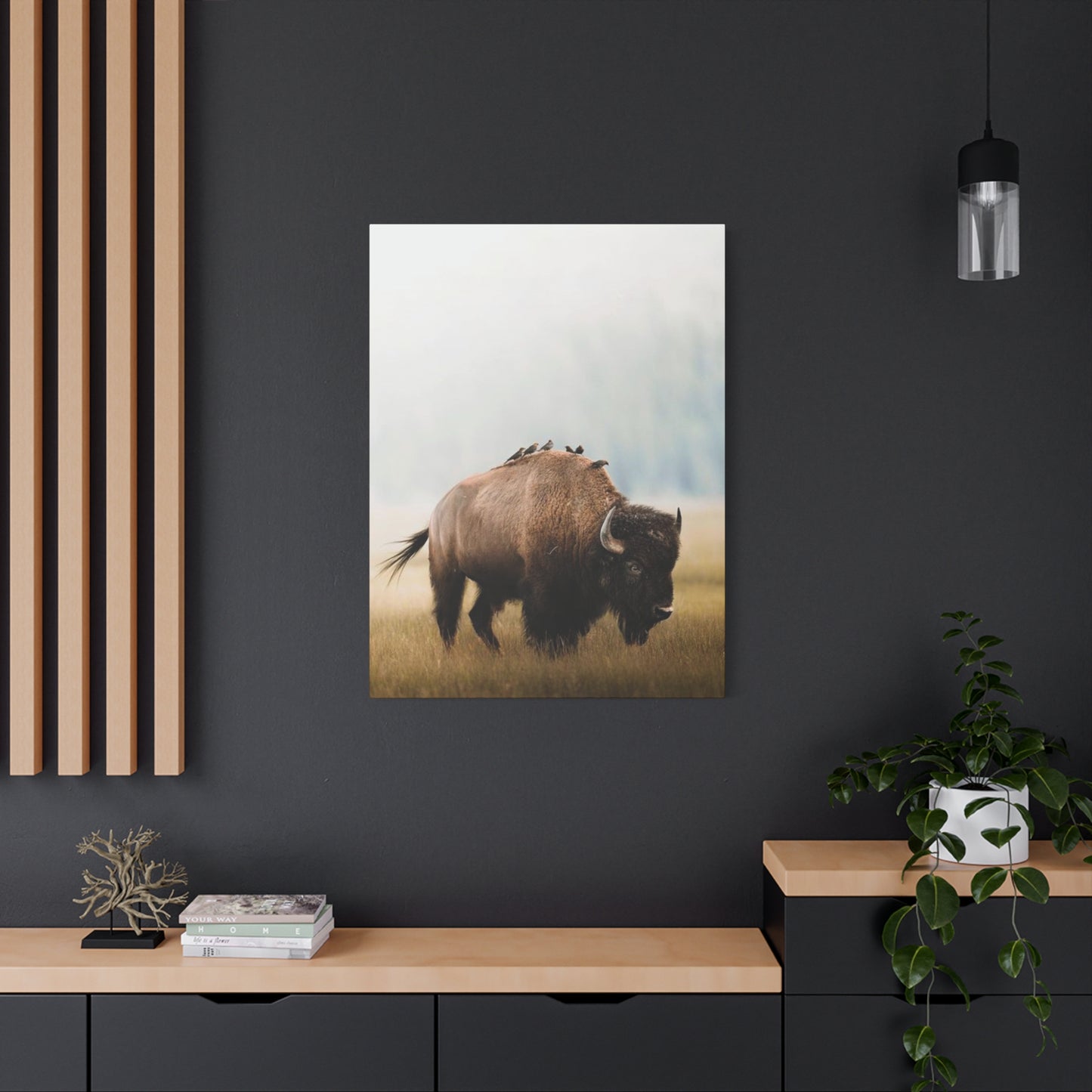Bison Carrying Birds Wall Art & Canvas Prints