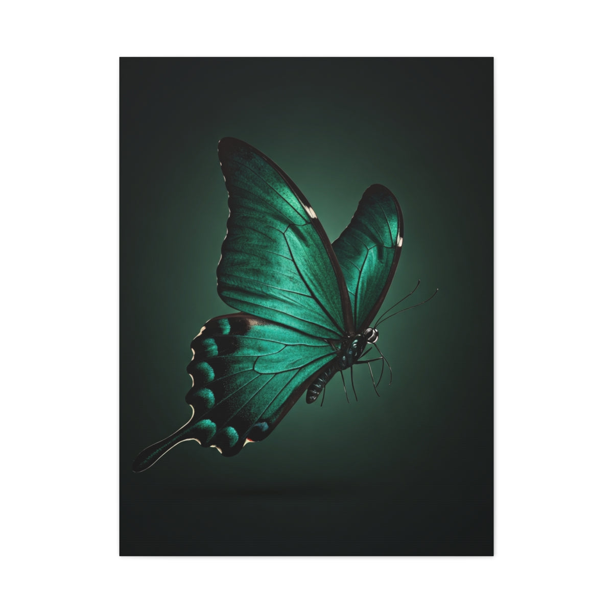 Emerald Swallowtail Butterfly in Shadow Light Wall Art & Canvas Prints