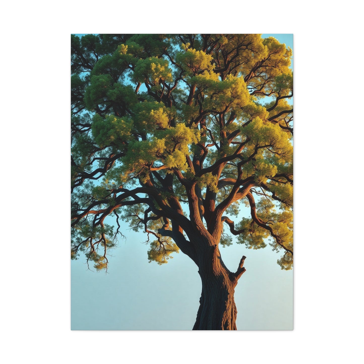 Oak Tree Art Supreme Canvas Wall Art & Canvas Print