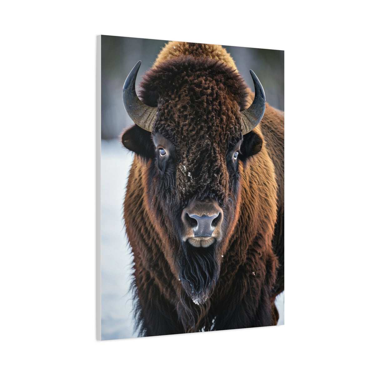 Minimalist American Bison Portrait on Light Background Wall Art & Canvas Print