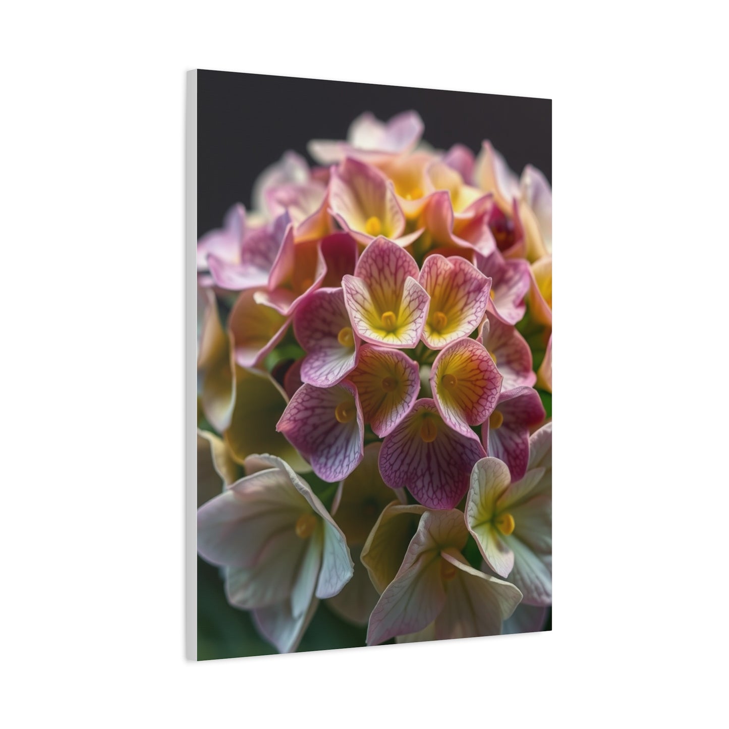 Vision Hydrangea Flower Art Art Wall Art & Canvas Print