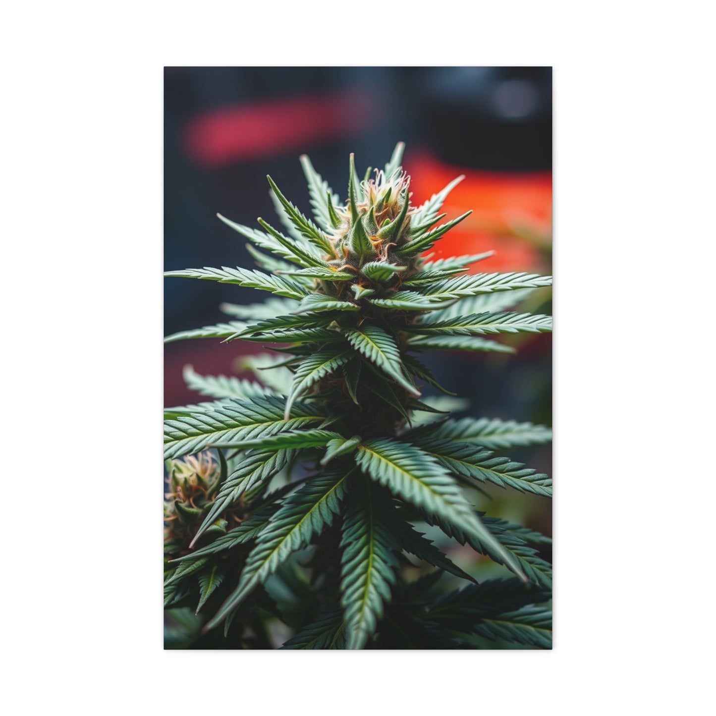 Herbaceous Ambience Gallery Wall Art & Canvas Print