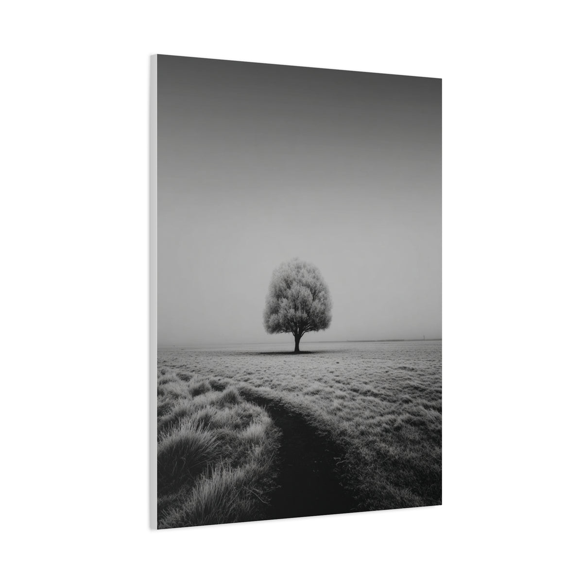 Lone Tree Winter Field Wall Art & Canvas Print