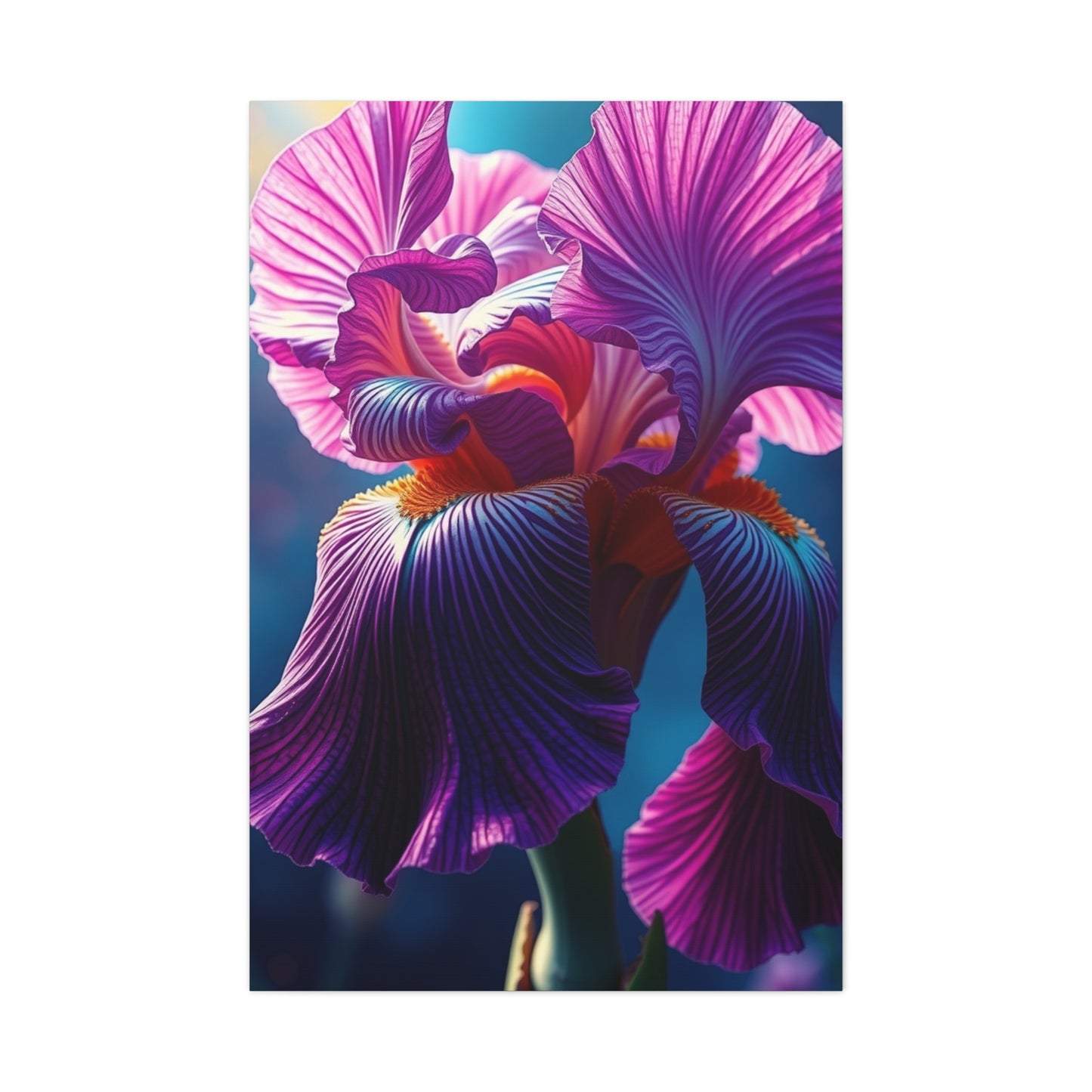 Supreme Iris Scott Art Wall Art & Canvas Print