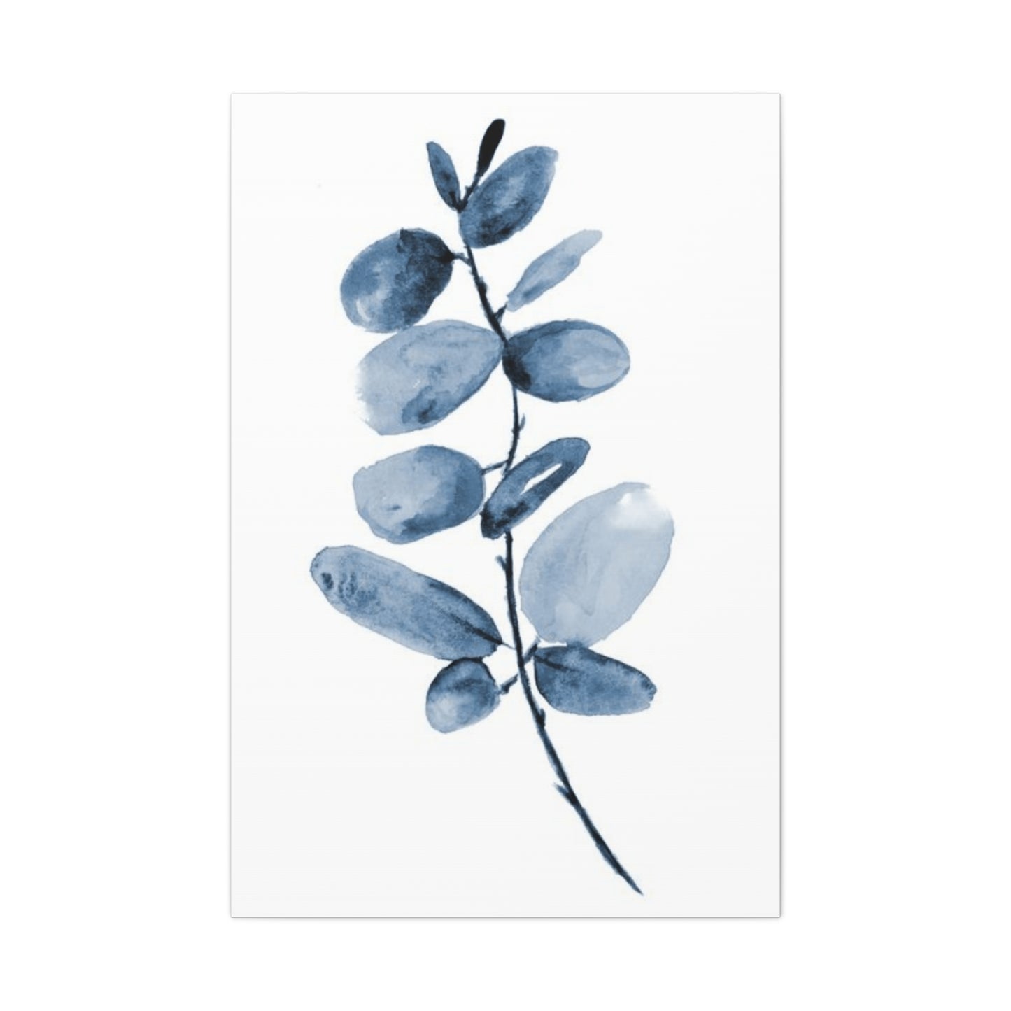 Eucalyptus Plant Wall Art & Canvas Prints