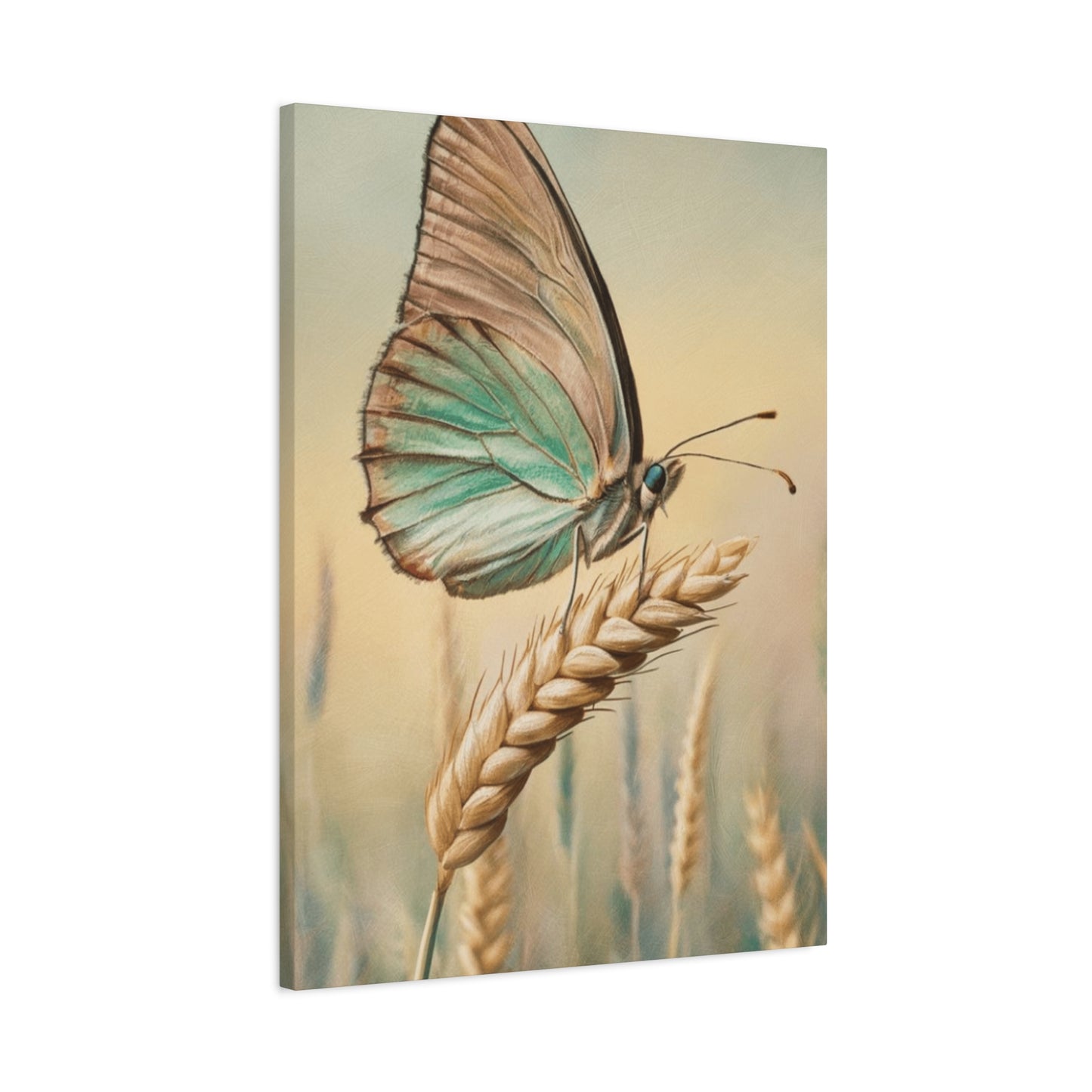Butterfly on Wheat Crop Painting Wall Art & Canvas Prints