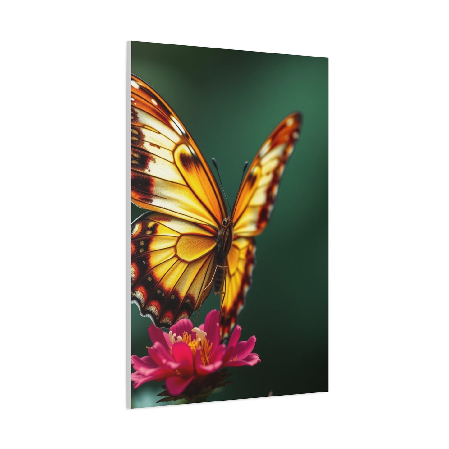 Chrysalis Symphony Wall Art Wall Art & Canvas Print