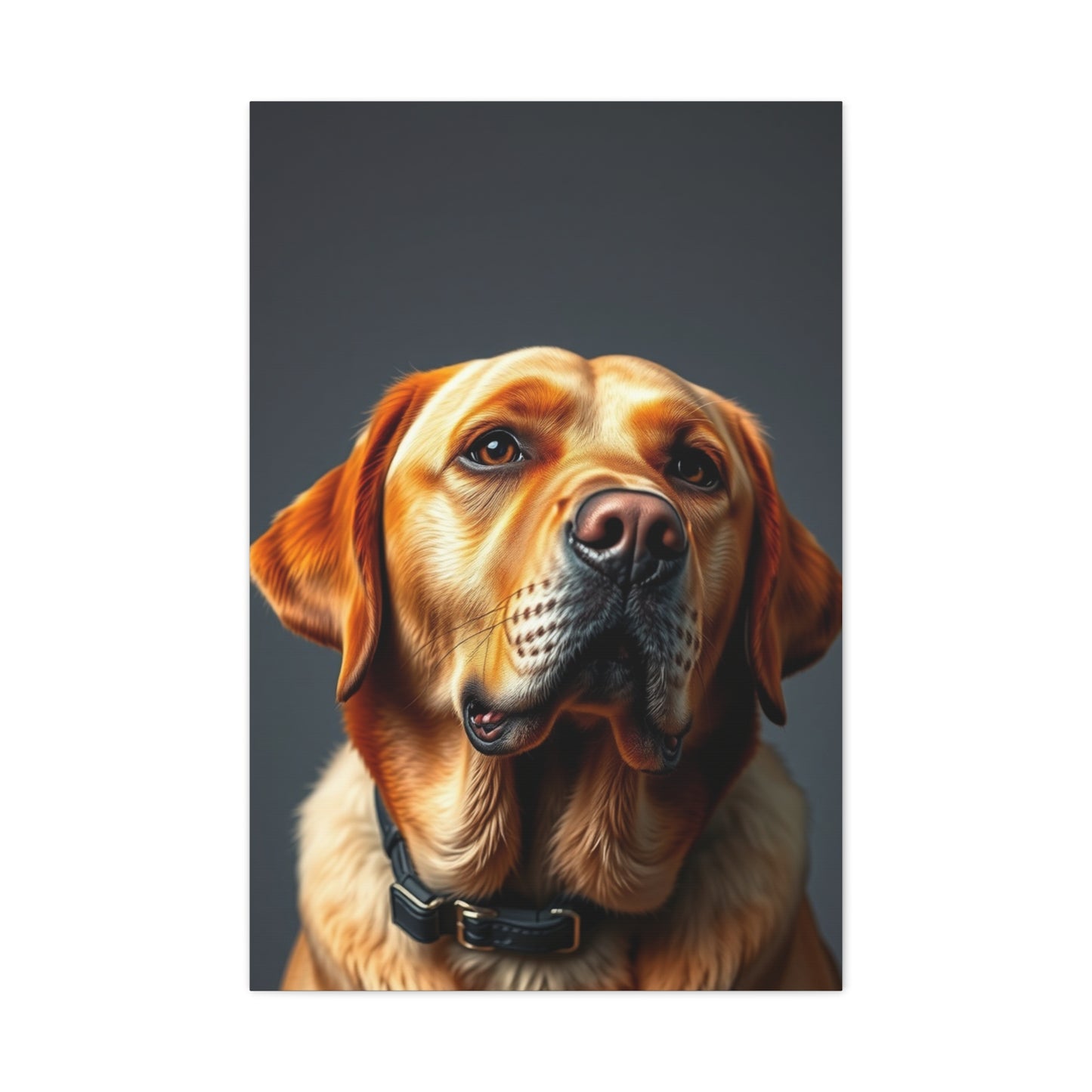 Labrador Retriever Art Supreme Gallery Wall Art & Canvas Print