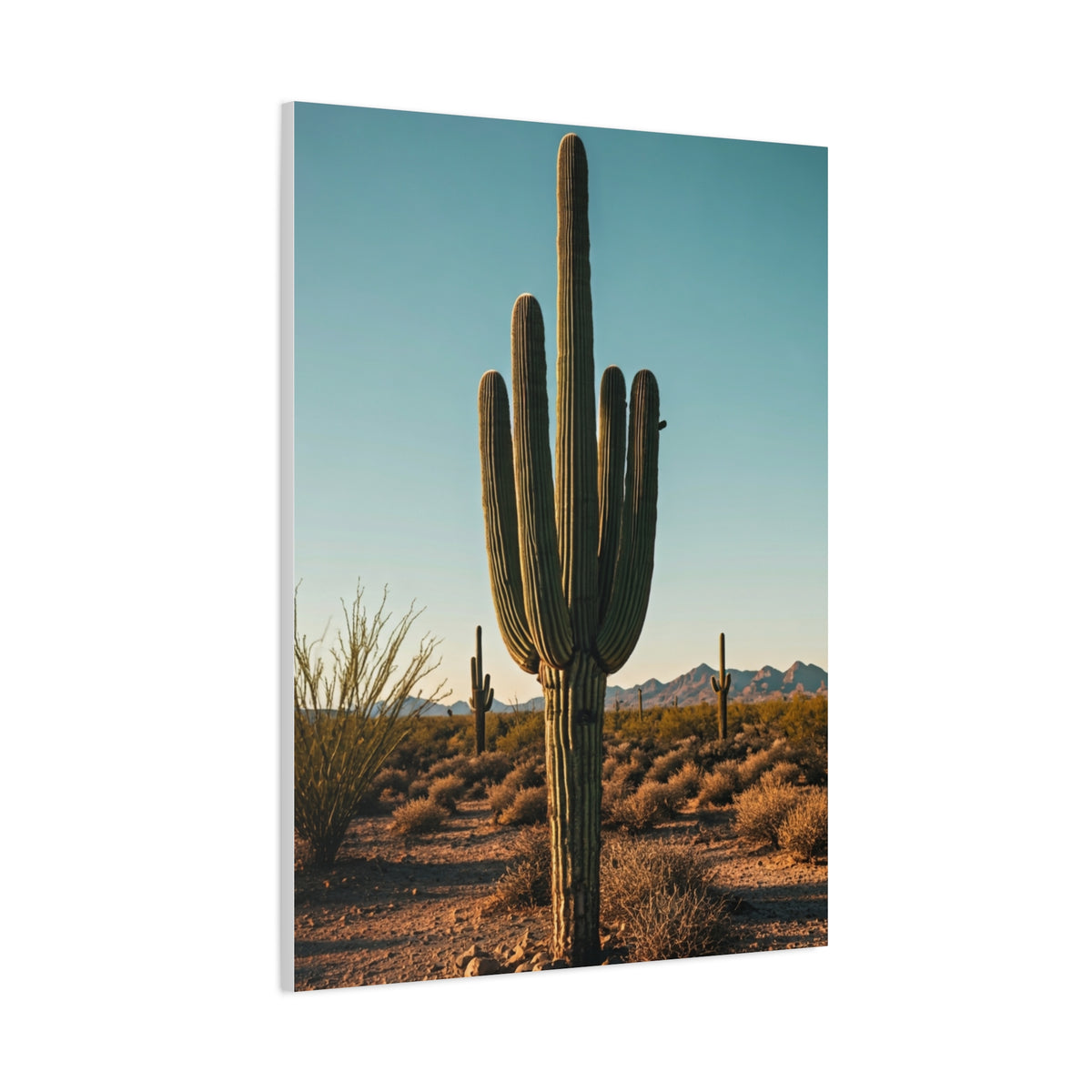 Classic Saguaro Desert Landscape Wall Art & Canvas Prints