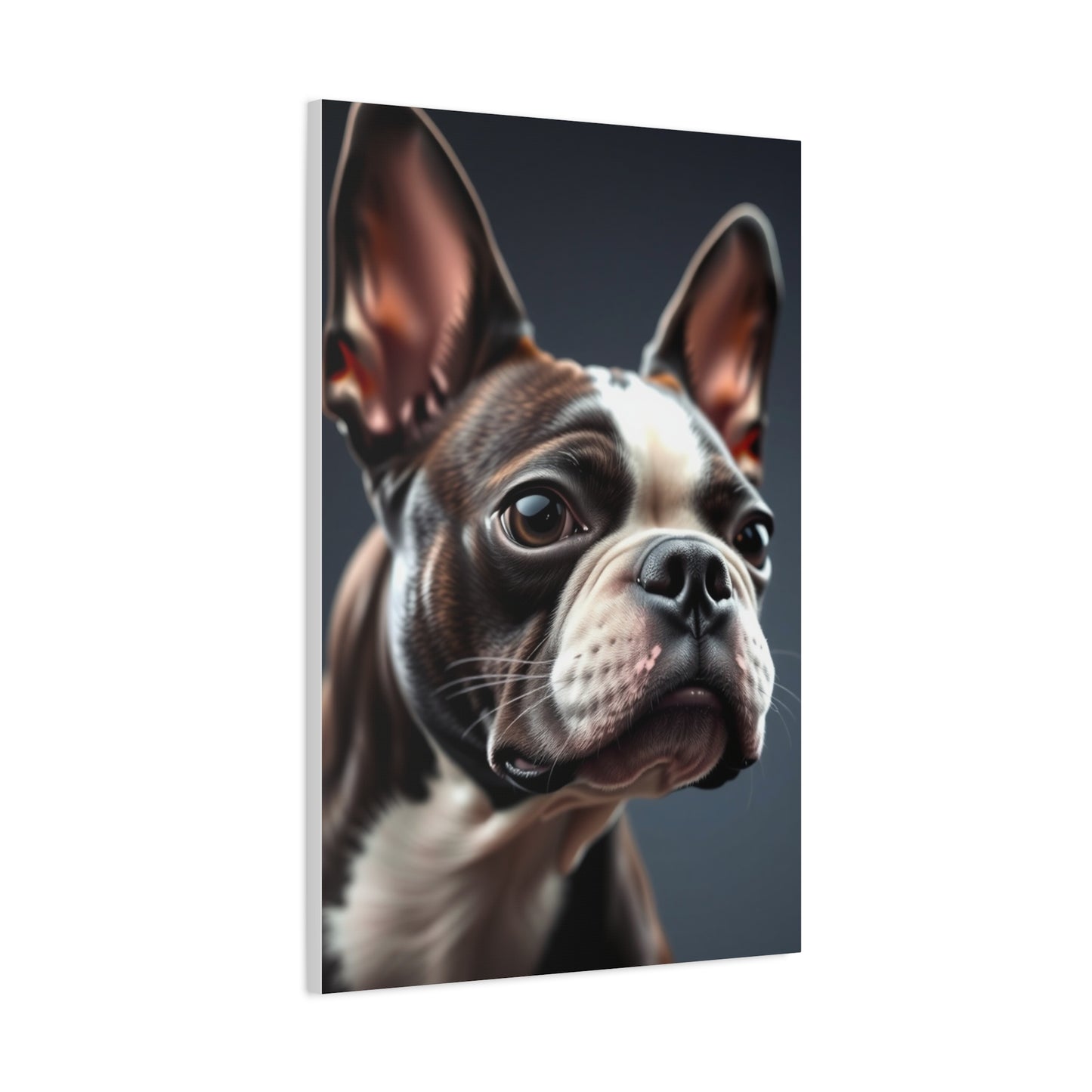 Boston Terrier Art Refined Canvas Wall Art & Canvas Print