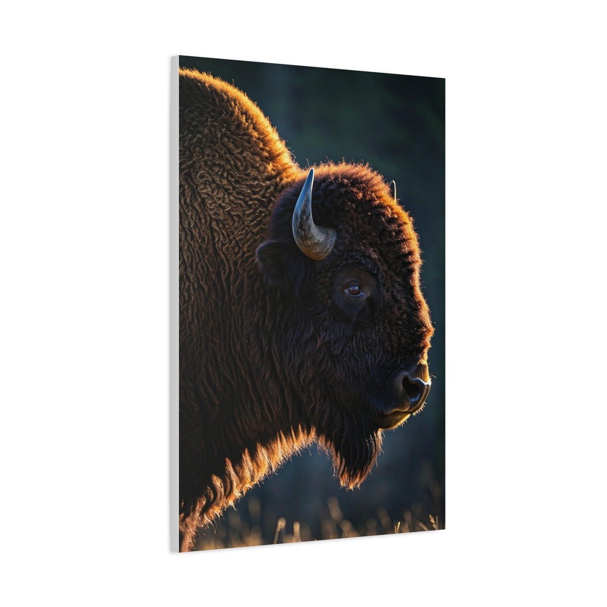 Backlit Bison Silhouette with Glowing Fur Edges Wall Art & Canvas Print