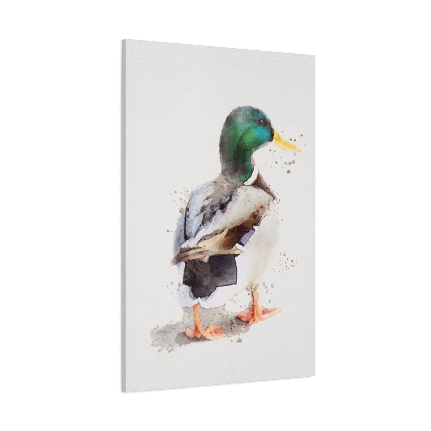 Walking Duck Painting Wall Art & Canvas Prints