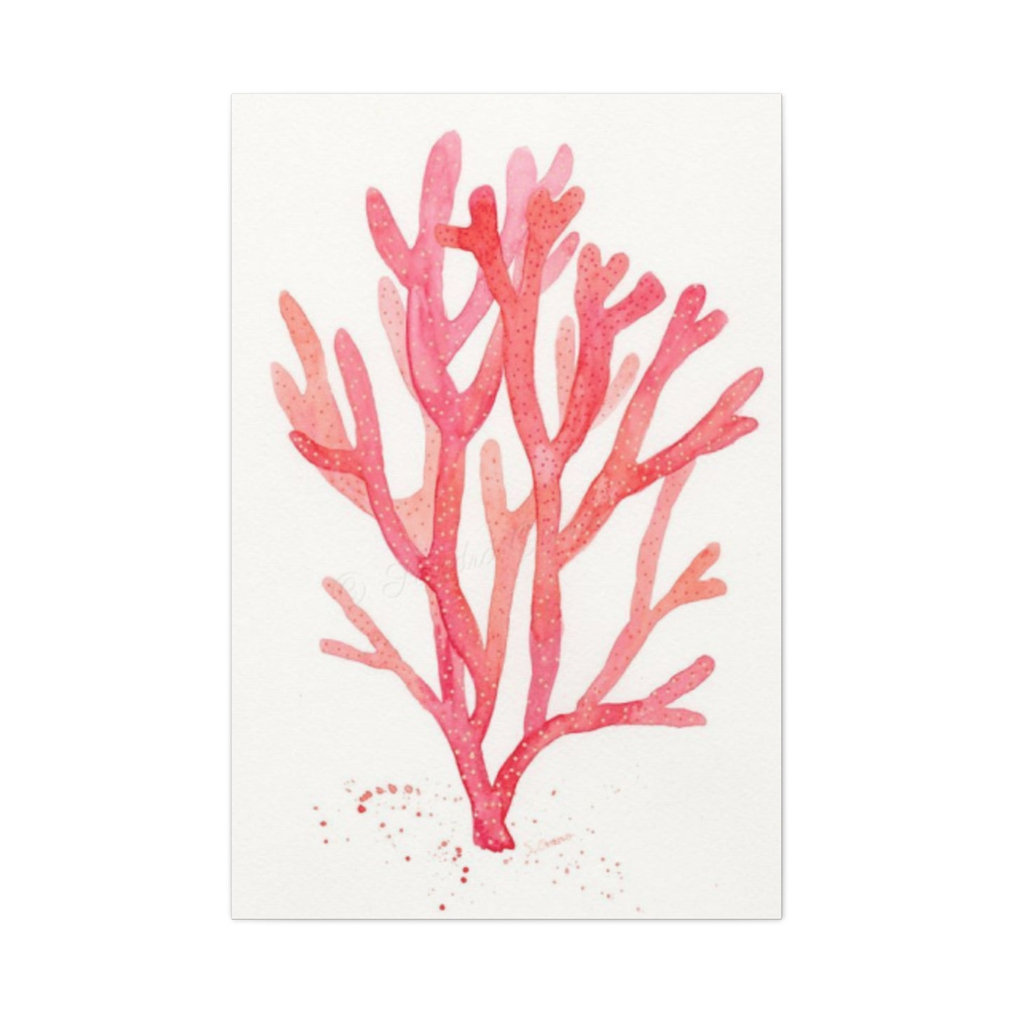 Pink Sea Coral Wall Art & Canvas Prints
