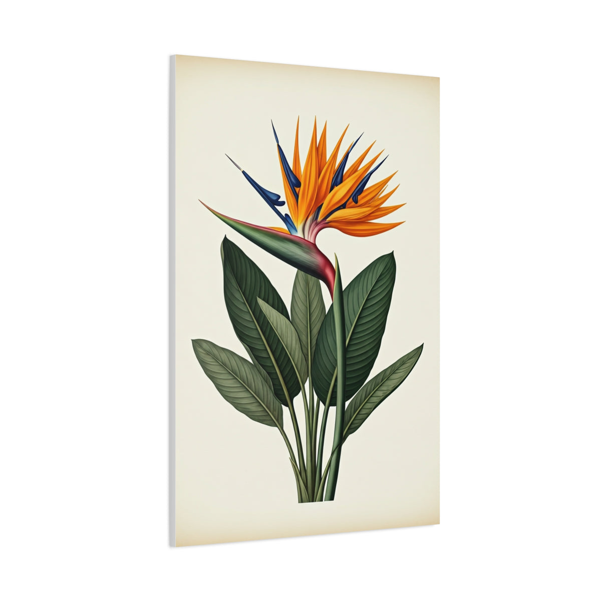 Tropical Bird of Paradise Illustration Wall Art & Canvas Prints