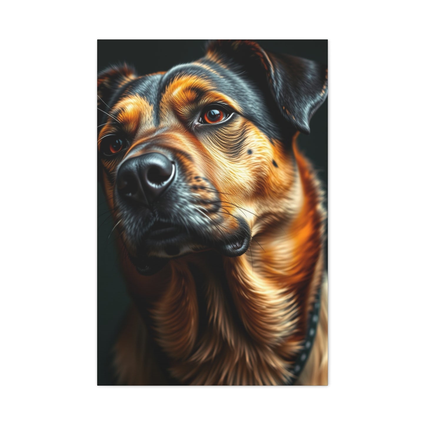 Black and Tan Art Supreme Canvas Wall Art & Canvas Print