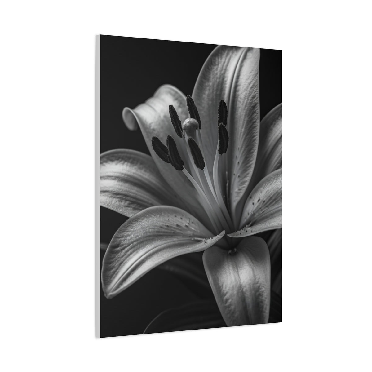 Lavender Silhouette in Low Light Wall Art & Canvas Prints