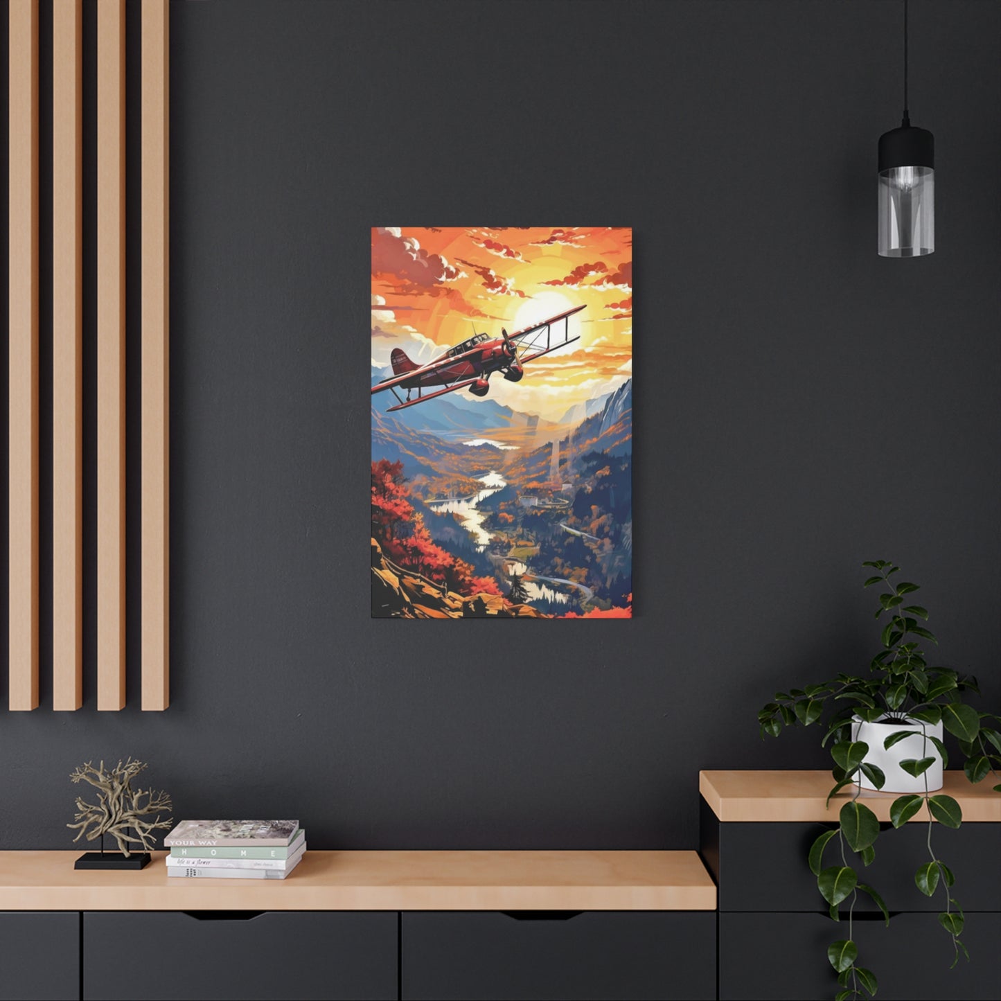 Plane Wall Art & Canvas Prints