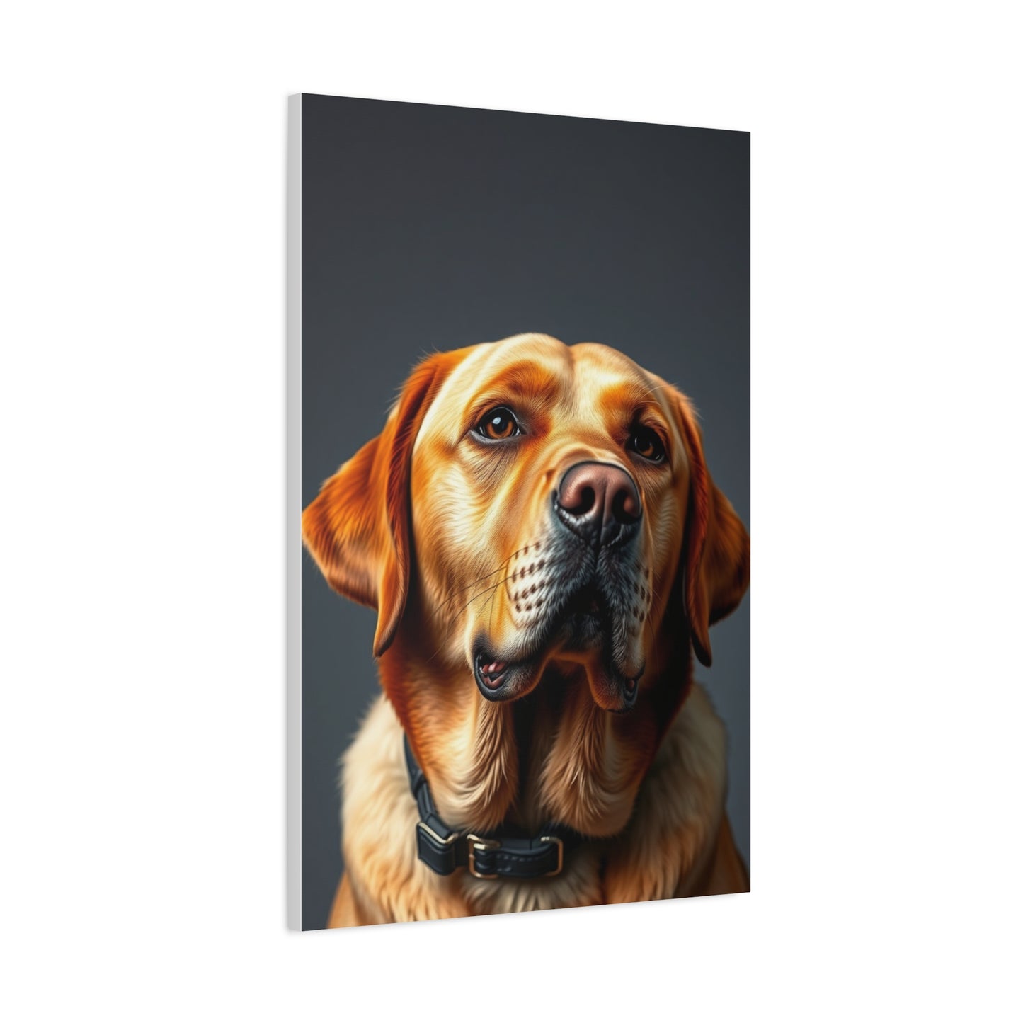 Labrador Retriever Art Supreme Gallery Wall Art & Canvas Print