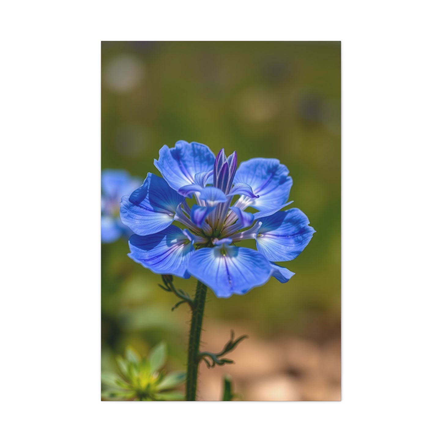 Supreme Bluebonnet Flower Art Wall Art & Canvas Print