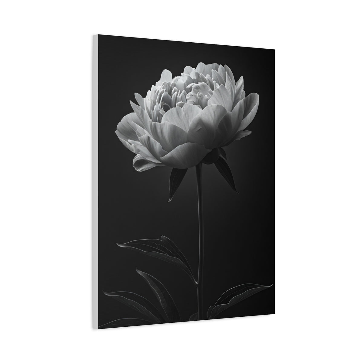 Peony Elegance in Monochrome Wall Art & Canvas Prints