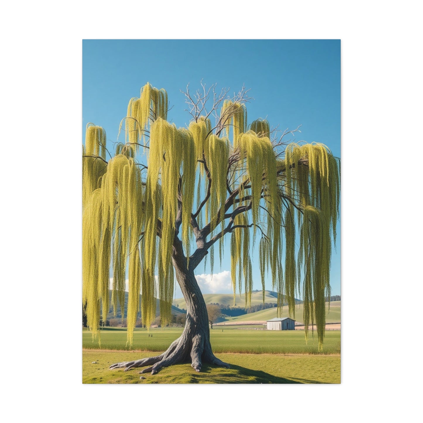 Elite Willow Tree Art Vision Wall Art & Canvas Print