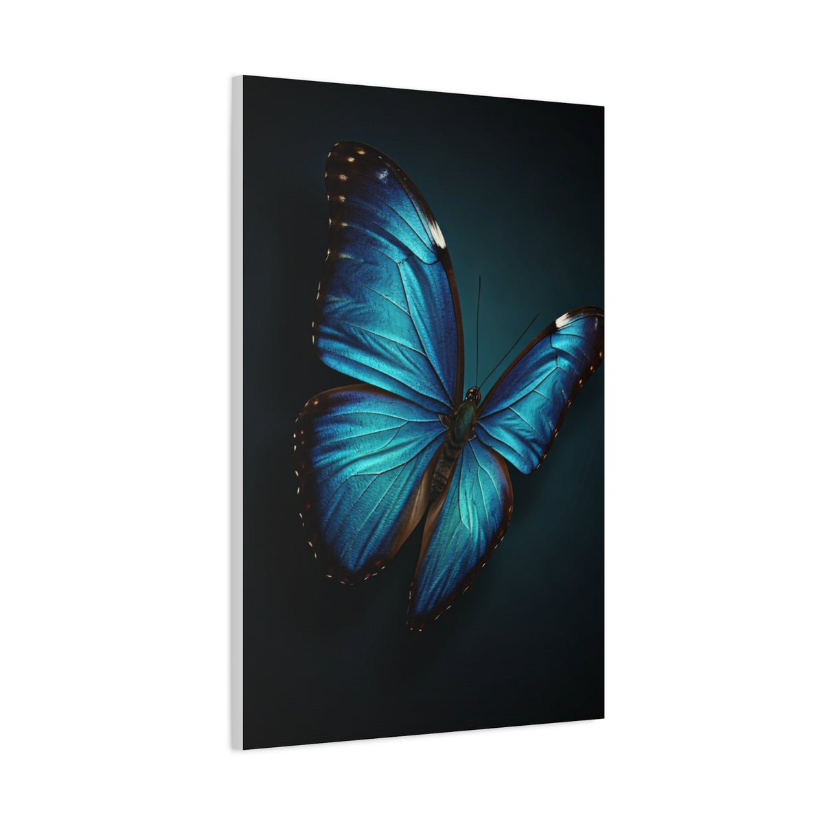 Blue Morpho Butterfly Wings Spread Wall Art & Canvas Prints