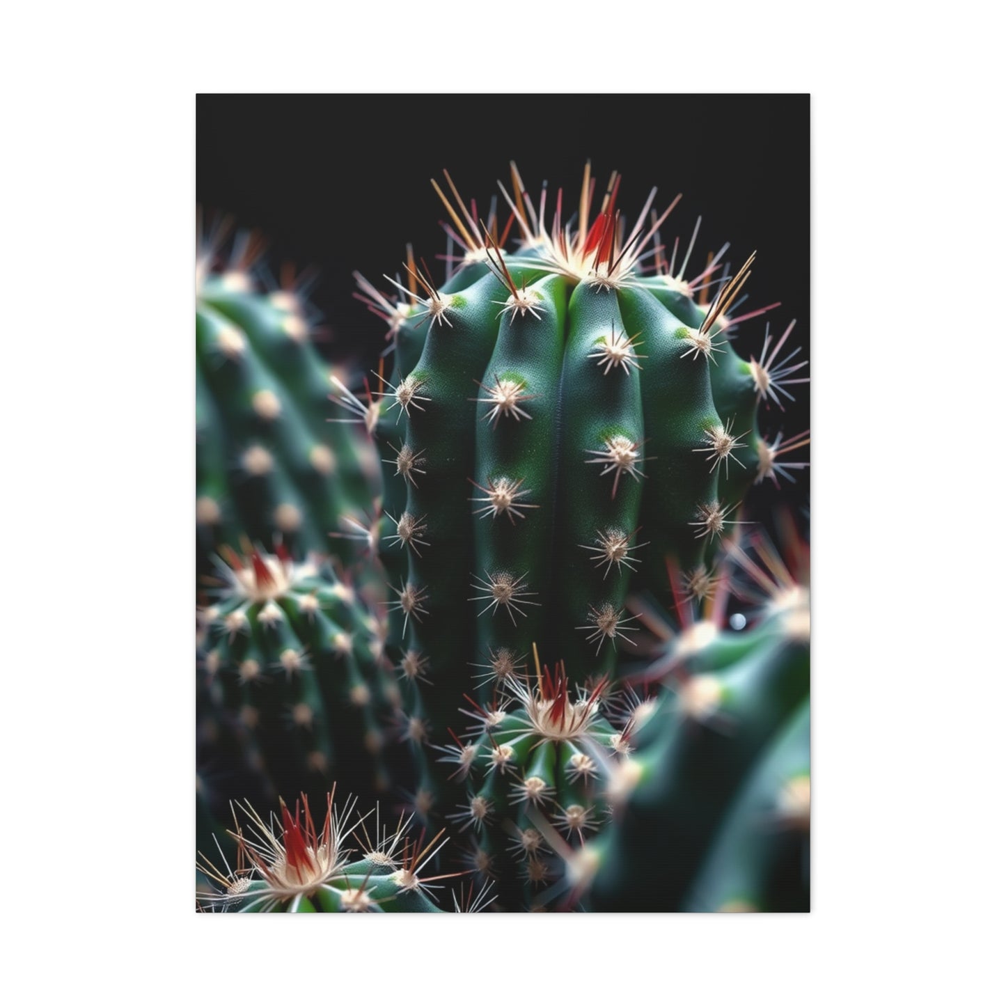 Verdant Desert Dreams Wall Art & Canvas Print