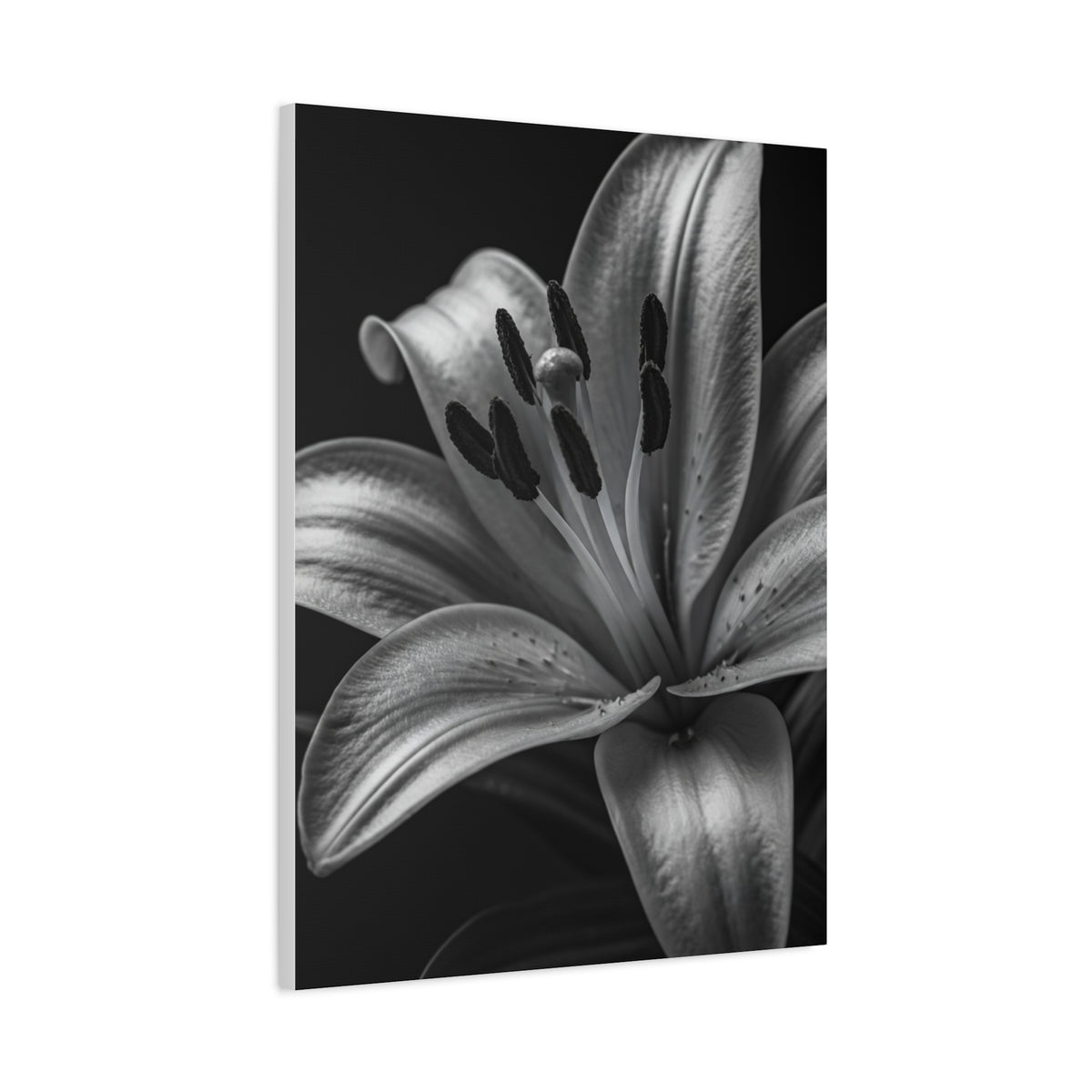 Lavender Silhouette in Low Light Wall Art & Canvas Prints