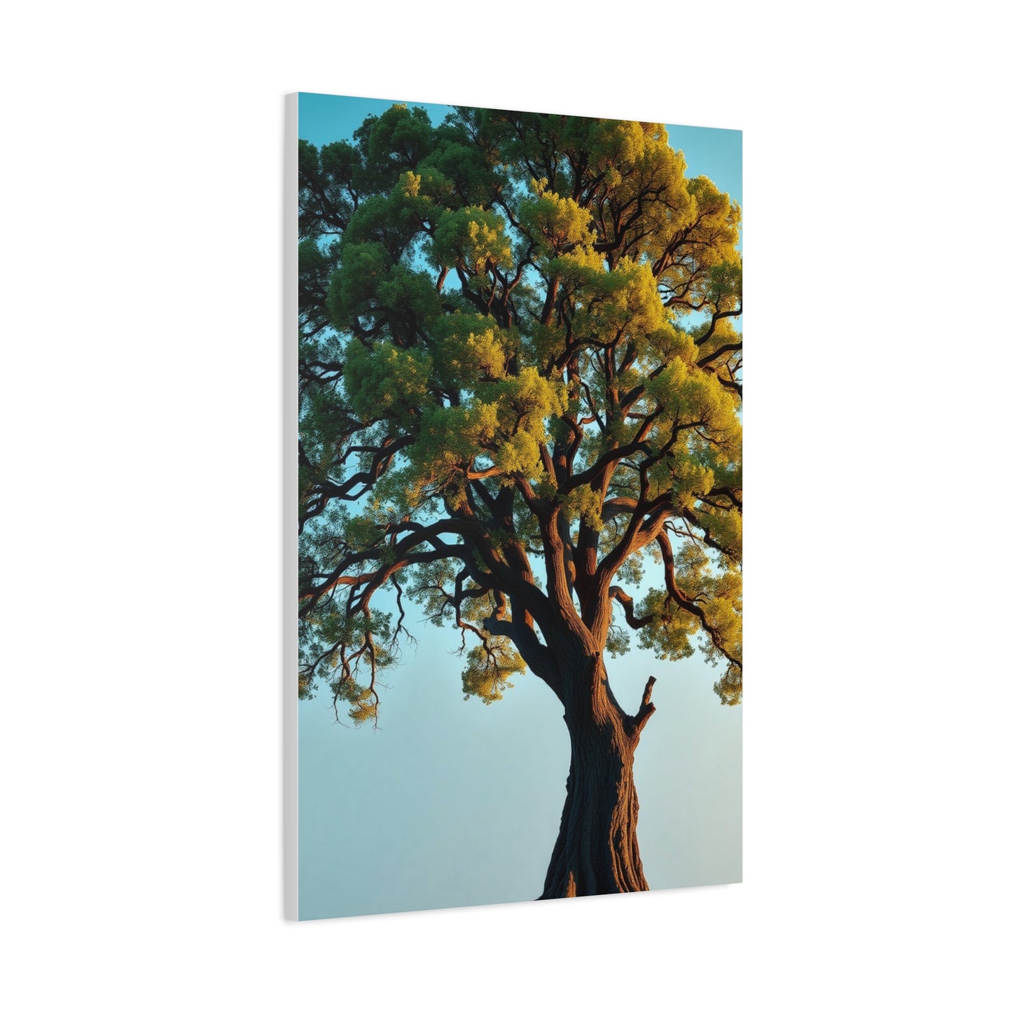 Oak Tree Art Supreme Canvas Wall Art & Canvas Print