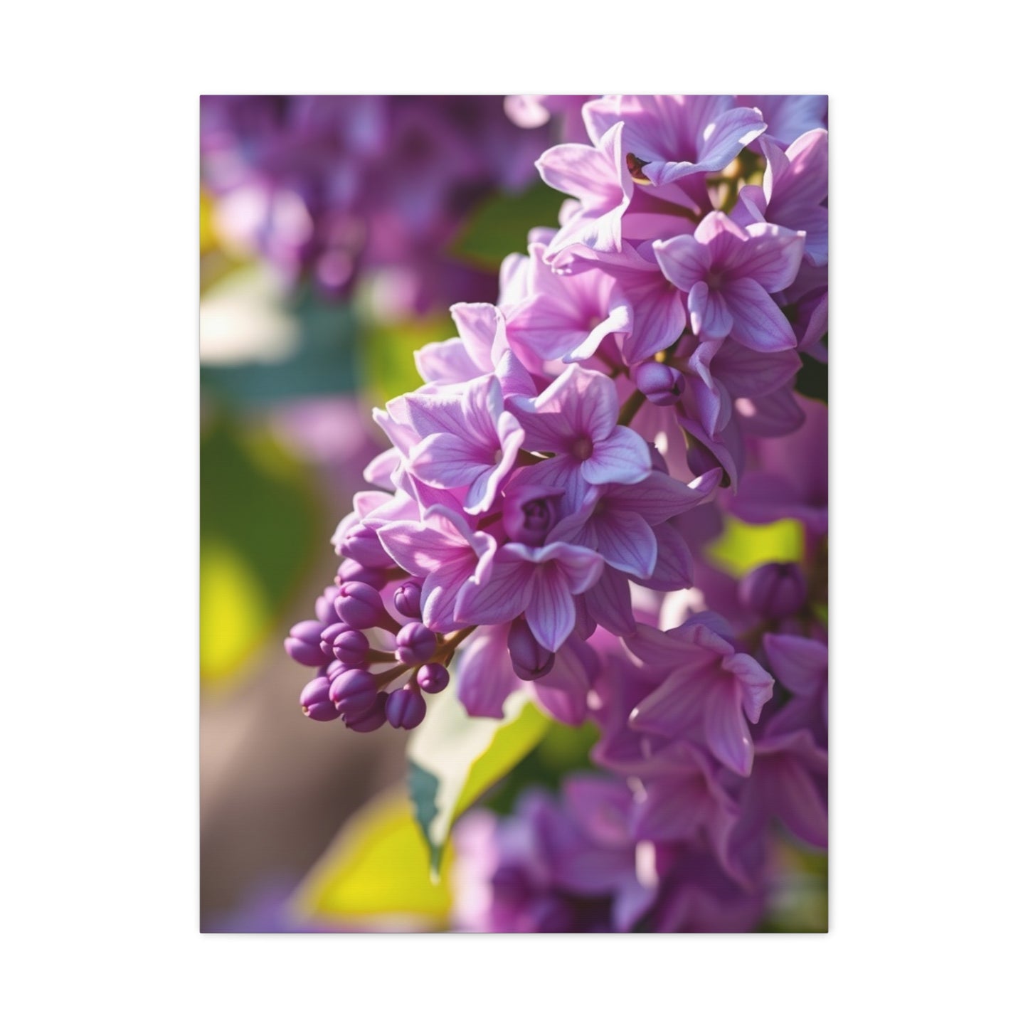 Lilac Flower Art Supreme Canvas Wall Art & Canvas Print