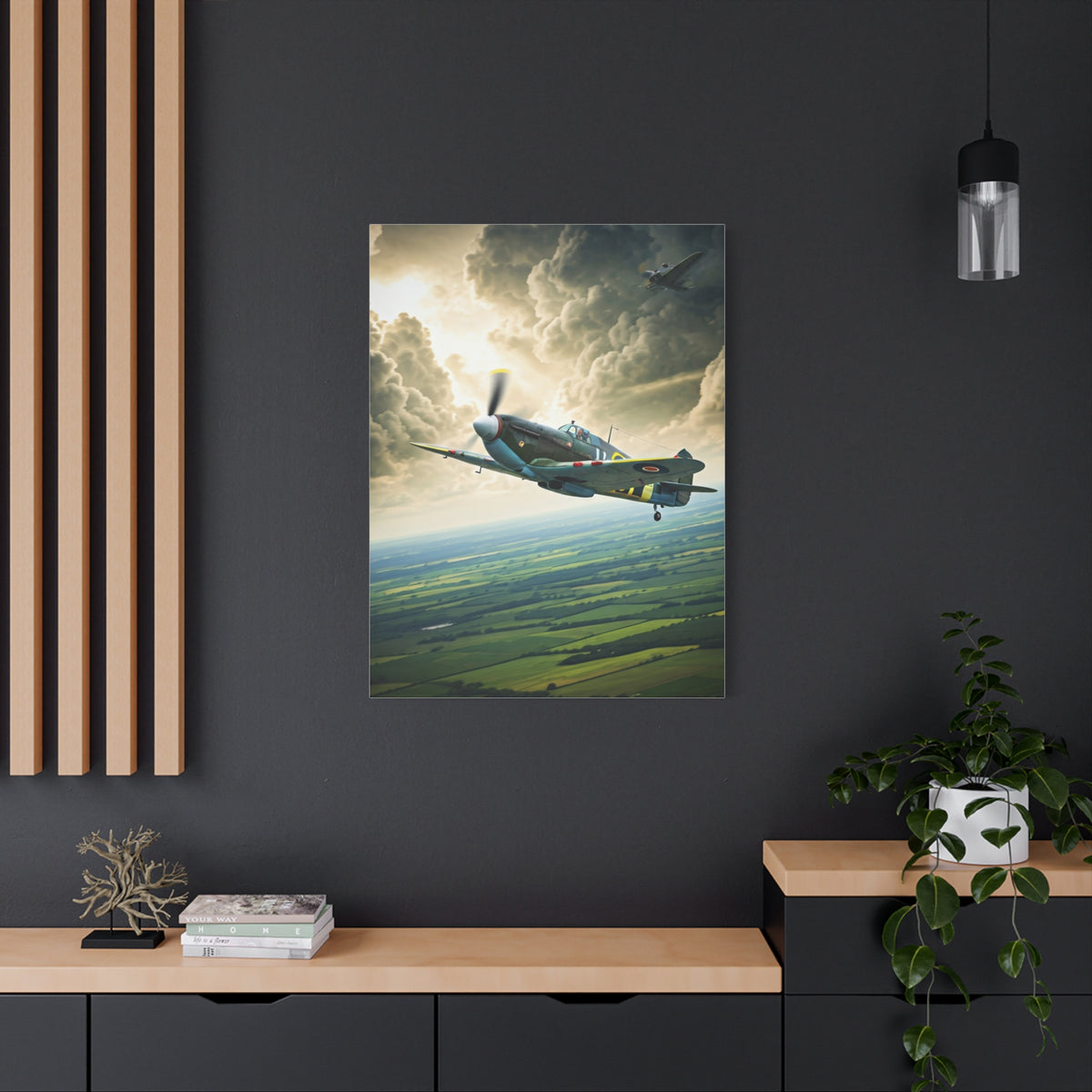 Classic Propeller Plane Over Open Fields Wall Art & Canvas Prints