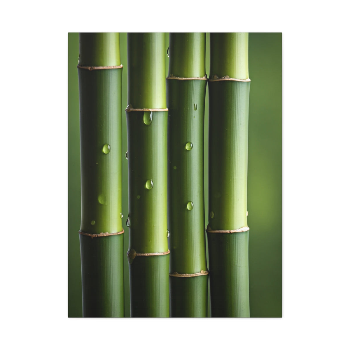 Green Bamboo Stalks Natural Zen Wall Art & Canvas Prints