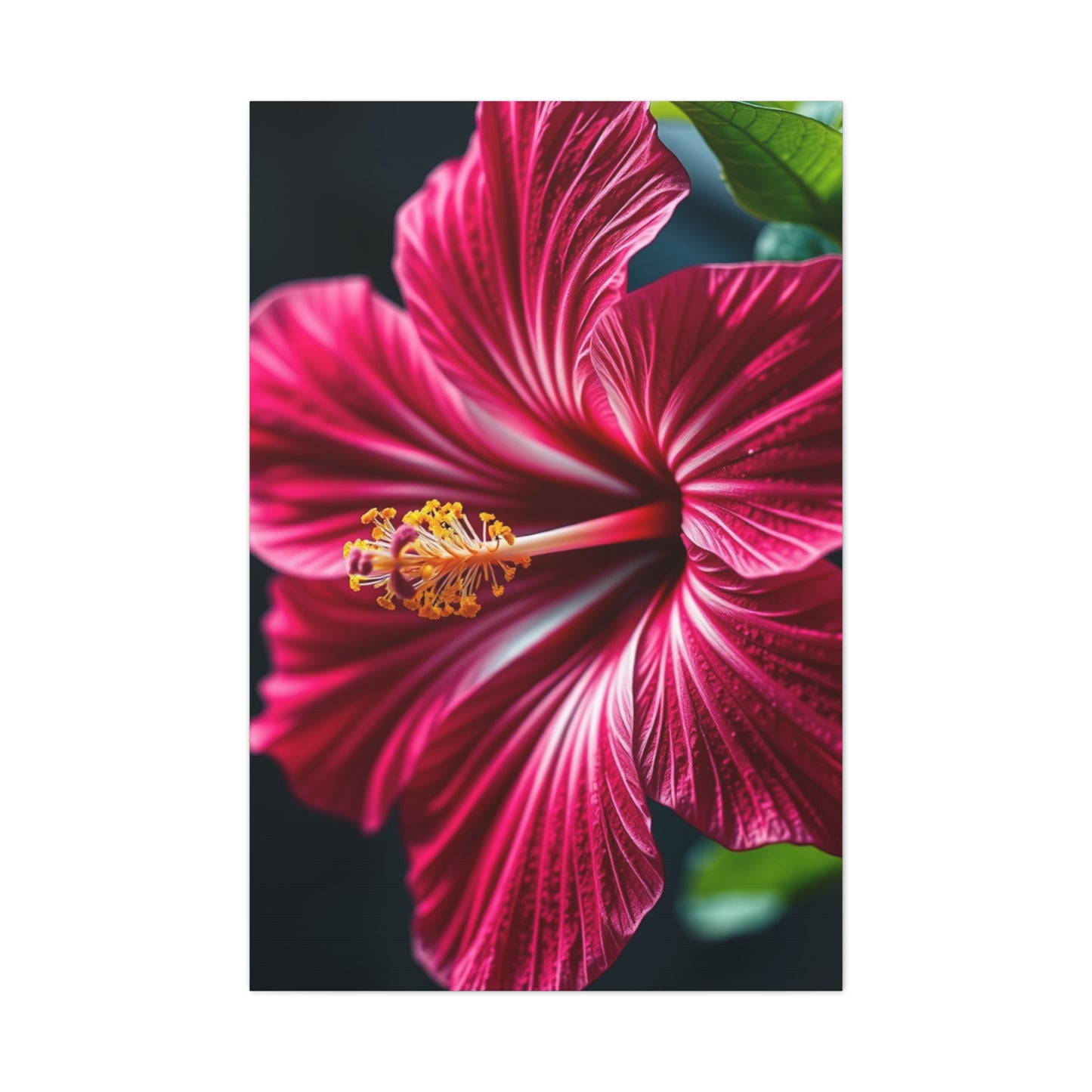 Collection Hibiscus Flower Art Wall Art & Canvas Print