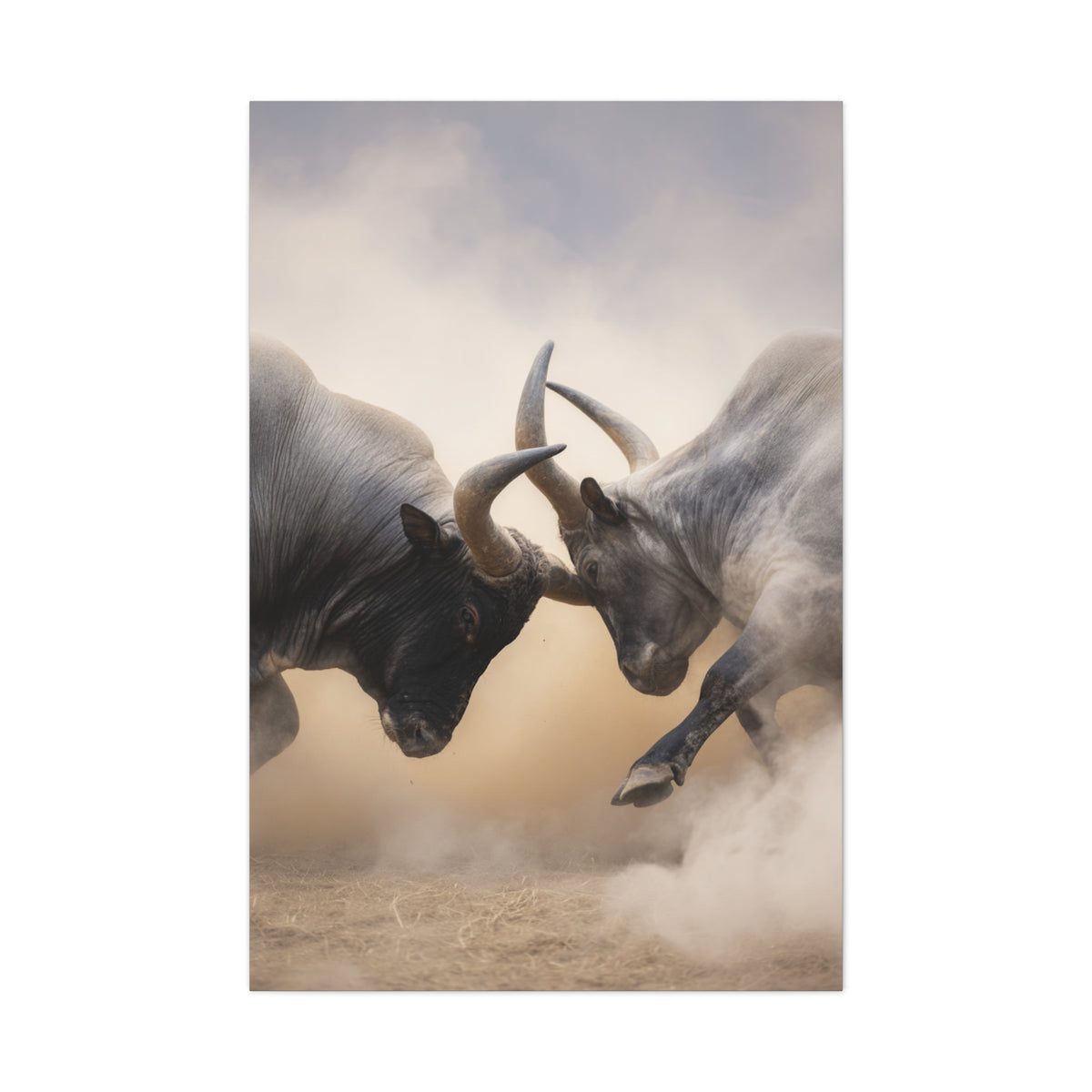 Bulls Clashing Horns Dramatic Wildlife Wall Art & Canvas Print