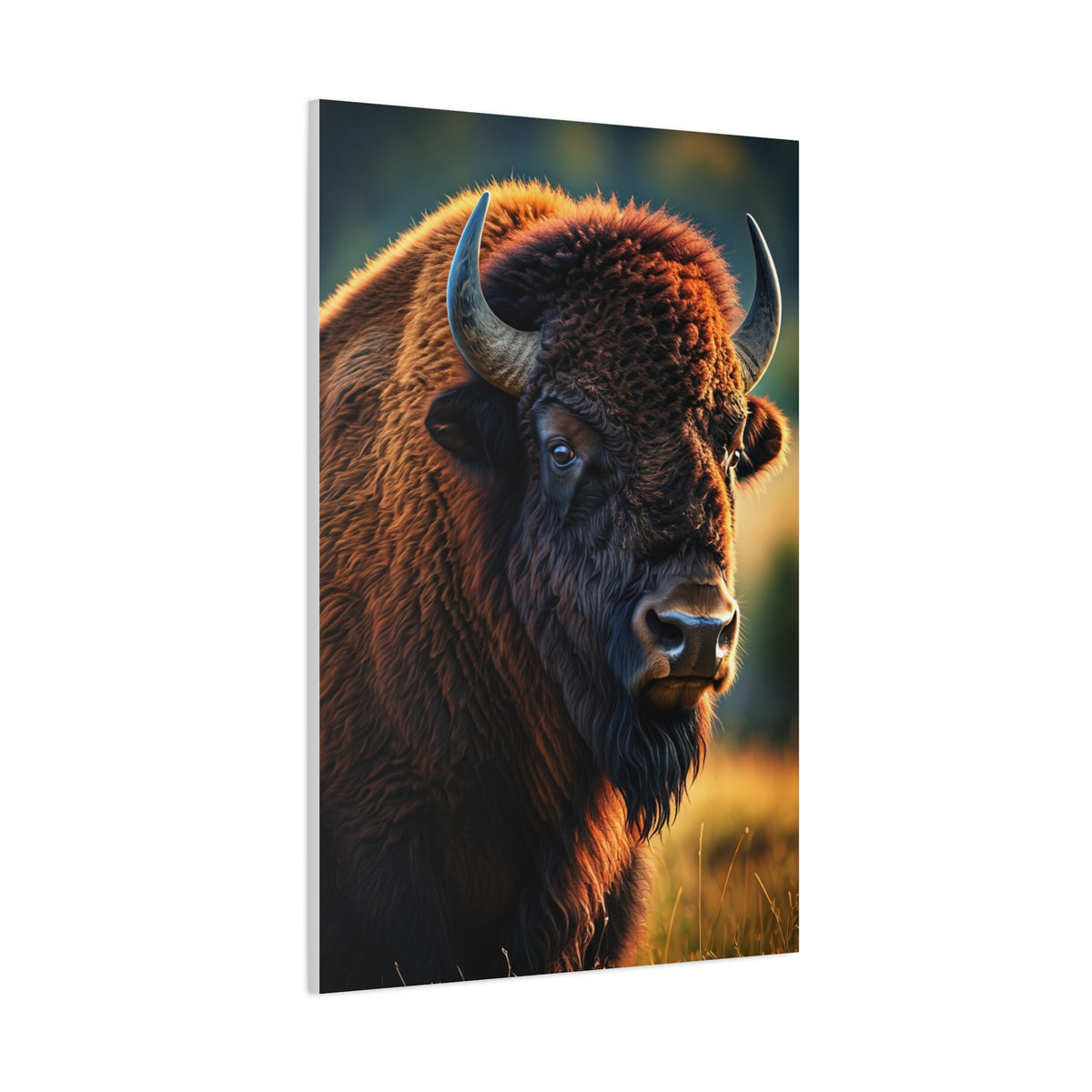 Golden Hour Bison Side Portrait with Warm Prairie Light Wall Art & Canvas Print