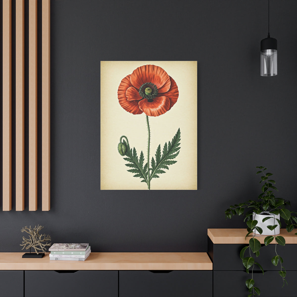 Poppy Flower Vintage Study Wall Art & Canvas Prints