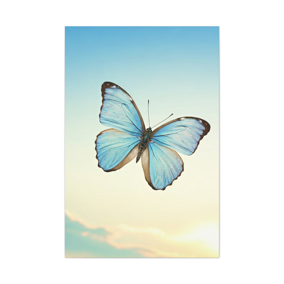 Blue Sky Butterfly Serenity Wall Art & Canvas Prints