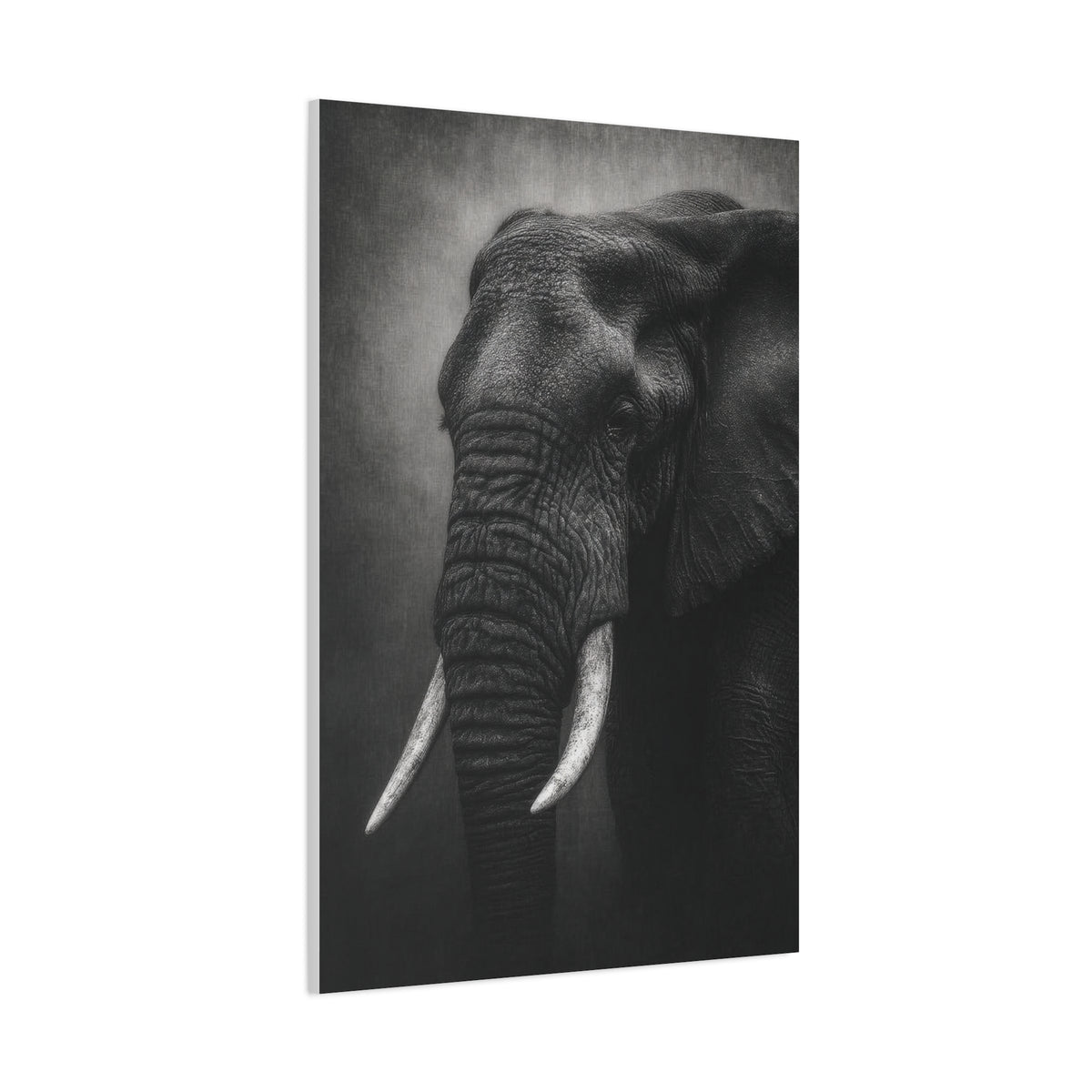 Monochrome Elephant Fine Art Portrait Wall Art & Canvas Print
