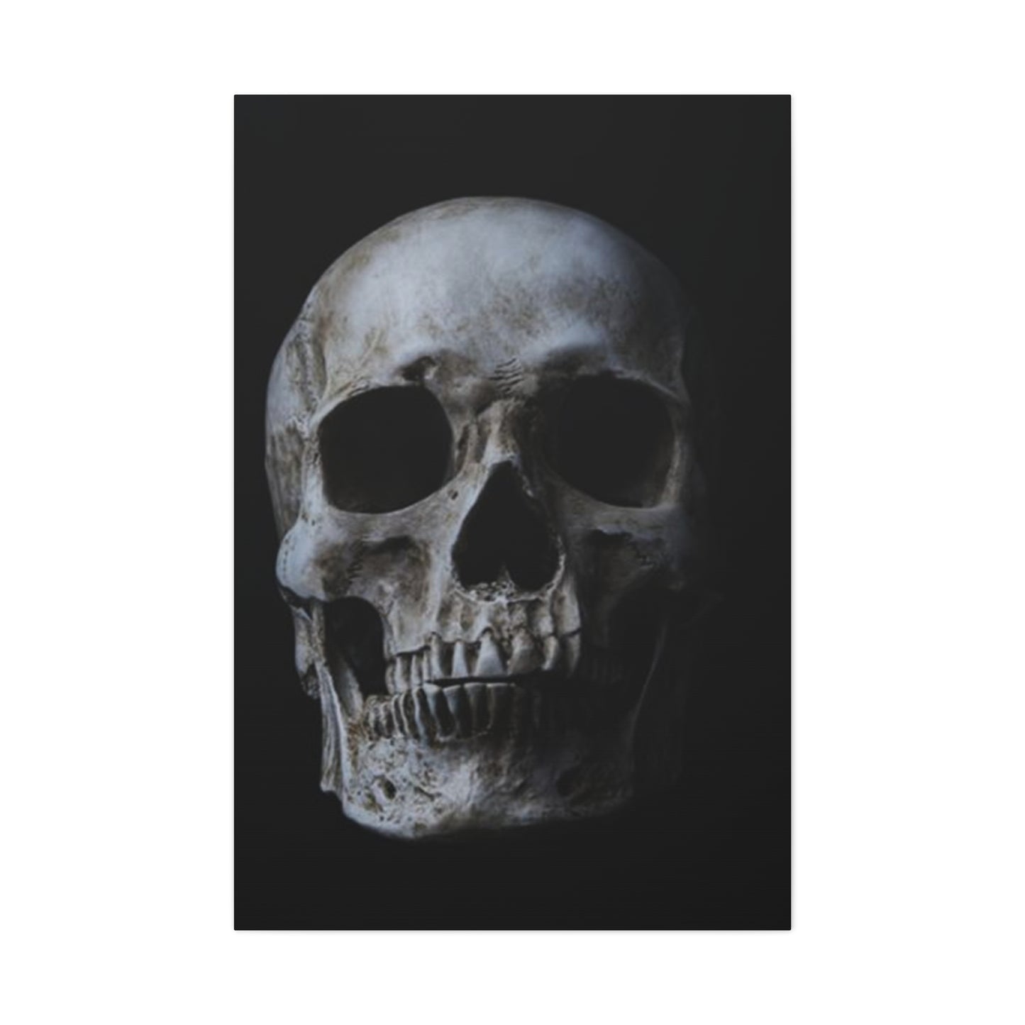 Scary Skull Poster Wall Art & Canvas Prints